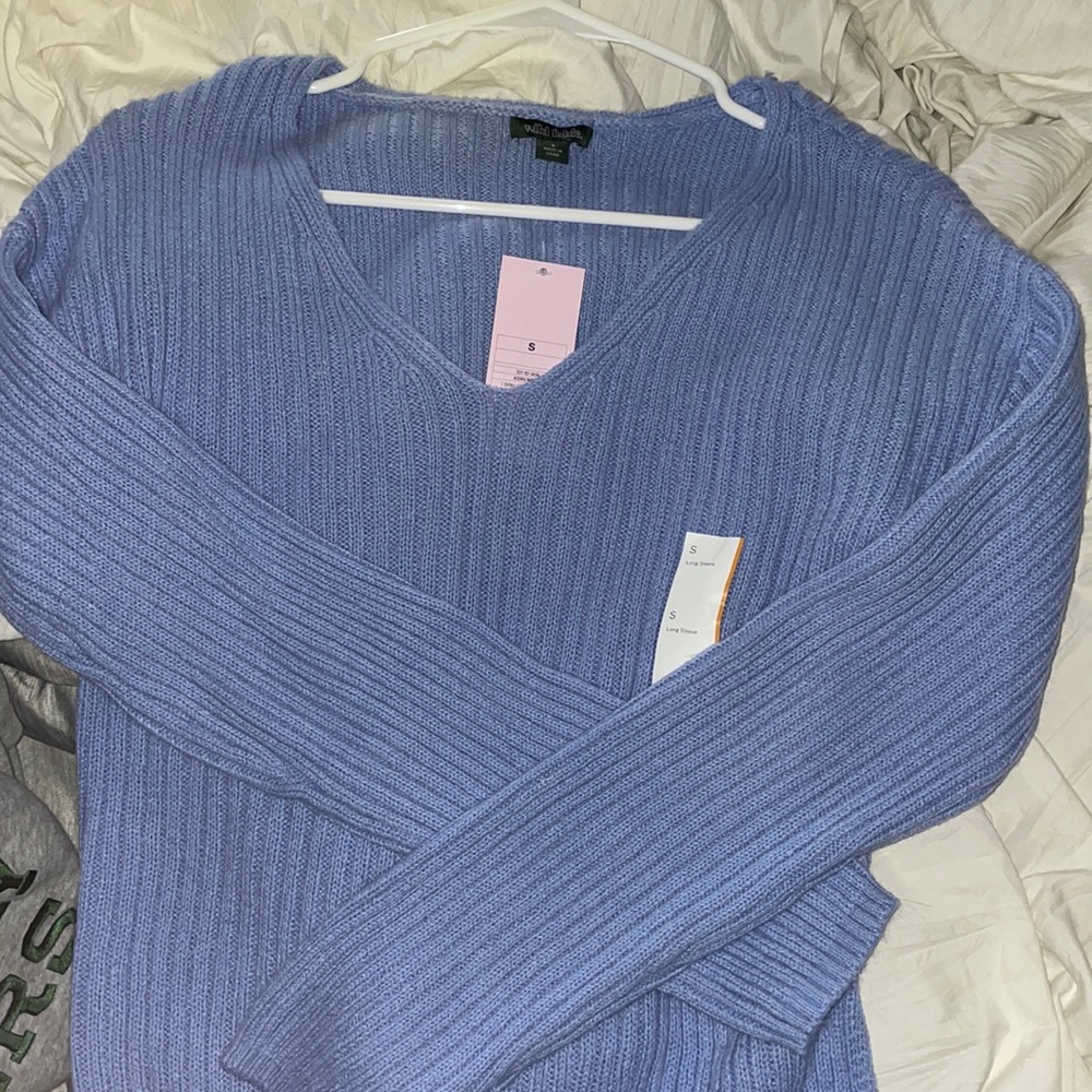 Size Small Wild Fable sweater - baby blue